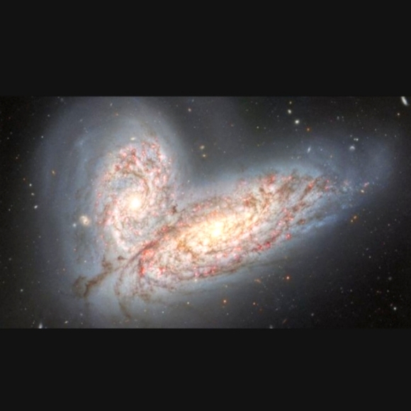 Meet your Posher Jue - Picture 1 of 1